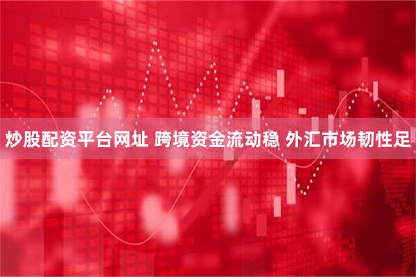 炒股配资平台网址 跨境资金流动稳 外汇市场韧性足
